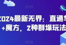 最新无界:直通车+魔方,2种群爆玩法-蜗牛学社