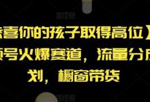 【恭喜你的孩子取得高位】AI视频号火爆赛道,流量分成计划,橱窗带货-蜗牛学社