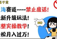 超级干货,蓝海赛道-禁止废话,最新升级玩法,完整实操教学,轻松月入过万-蜗牛学社