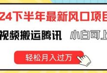 下半年最新风口项自，海外视频搬运腾讯，小白可上手，轻松月入过万-蜗牛学社
