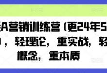 老A营销训练营(更24年8月),轻理论,重实战,轻概念,重本质-蜗牛学社