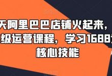 90天阿里巴巴店铺火起来,1688高级运营课程,学习1688运营核心技能-蜗牛学社