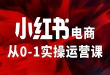 小红书电商从0-1实操运营课,让你从小白到精英-蜗牛学社