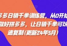 拼多多日销千单训练营,从0开始带你做好拼多多,让日销千单可以快速复制(更新24年8月)-蜗牛学社