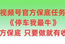 视频号官方保底任务,停车我最牛,官方保底只要做就有收益-蜗牛学社