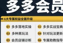 拼多多会员,拼多多实战宝典+实战落地实操,从新手到高阶内容全面覆盖-蜗牛学社