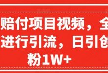 爆火赔付项目视频,全网平台进行引流,日引创业粉1W+-蜗牛学社