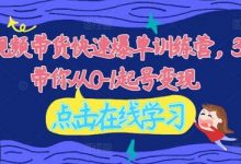 2024视频带货快速爆单训练营,30天带你从0-1起号变现-蜗牛学社