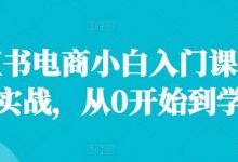 小红书电商小白入门课,店群实战,从0开始到学会-蜗牛学社
