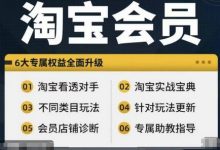 淘宝会员【淘宝所有课程,全面分析对手】,初级到高手全系实战宝典-蜗牛学社