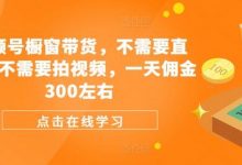视频号橱窗带货,不需要直播,不需要拍视频,一天佣金300左右-蜗牛学社