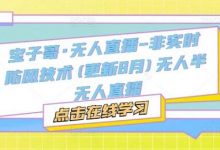 宝子哥·无人直播-非实时防风技术(更新8月)无人半无人直播-蜗牛学社