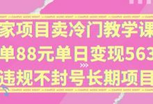独家项目卖冷门教学课程一单88元单日变现5632元违规不封号长期项目-蜗牛学社
