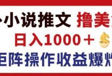 最新海外小说推文撸美金,日入1k+ 蓝海市场,矩阵放大收益爆炸-蜗牛学社