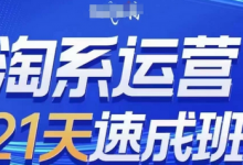 淘系运营21天速成班(更新24年9月),0基础轻松搞定淘系运营,不做假把式-蜗牛学社