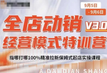 全店动销经营模式特训营,指哪打哪100%精准拉新保姆式起店实操课程-蜗牛学社