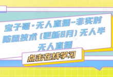 宝子哥·无人直播-非实时防风技术(更新9月)无人半无人直播-蜗牛学社