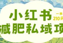 小红书减肥粉,私域变现项目,一单就达210元,小白也能轻松上手-蜗牛学社