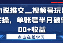 小说推文—视频号玩法实操,单账号半月破5000+收益-蜗牛学社