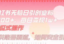 小红书无脑每日引流创业粉500+,小白每天只花半小时,躺赚长尾收益-蜗牛学社