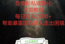 负债粉掘金计划,帮助负债者解决问题,债务规划,债务重组,最好的变现方式-蜗牛学社