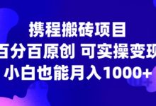携程搬砖项目,百分百原创,可实操变现,新手小白月入1k+-蜗牛学社