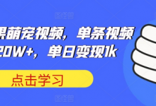 可爱水果萌宠视频,单条视频点赞20W+,单日变现1k-蜗牛学社