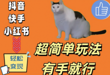 超简单玩法,有手就行,靠猫咪视频日入500+-蜗牛学社