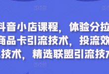 最新抖音小店课程，体验分拉升技术，商品卡引流技术，投流效果优化技术，精选联盟引流技术-蜗牛学社