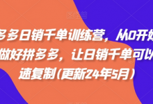 拼多多日销千单训练营,从0开始带你做好拼多多,让日销千单可以快速复制(更新24年10月)-蜗牛学社