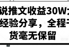 小说推文收益30W大佬经验分享,全程干货毫无保留-蜗牛学社