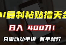 AI复制粘贴撸美金,日入400,只需动动手指,小白无脑操作-蜗牛学社