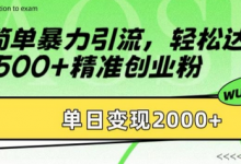 简单暴力引流,轻松达到日引500+精准创业粉,单日变现2k-蜗牛学社