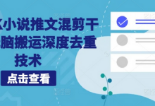 海外TK小说推文混剪干货,无脑搬运深度去重技术-蜗牛学社