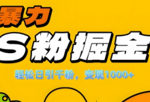 单人单机日引千粉,变现1k+,S粉流量掘金计划攻略-蜗牛学社
