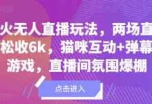 爆火无人直播玩法，两场直播轻松收6k，猫咪互动+弹幕小游戏，直播间氛围爆棚-蜗牛学社