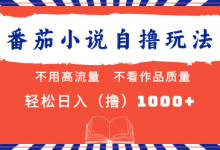 番茄小说最新自撸玩法，不看流量，不看质量，日入1000+-蜗牛学社