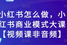 小红书怎么做,小红书商业模式大课【视频课非音频】-蜗牛学社