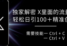 独家解密 X 里面的流量密码，复制粘贴轻松日引100+-蜗牛学社