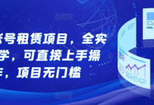 游戏账号租赁项目，全实操教学，可直接上手操作，项目无门槛-蜗牛学社