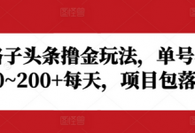 野路子头条撸金玩法,单号收益20~200+每天,项目包落地-蜗牛学社