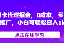 流量卡代理掘金，0成本，多途径推广，小白可轻松日入1k-蜗牛学社