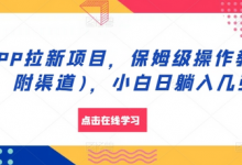 APP拉新项目，保姆级操作教程(附渠道)，小白日躺入几张-蜗牛学社