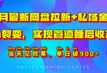 11月最新网盘拉新+私域全自动裂变,实现管道睡后收益,当天见效果,单日破900+-蜗牛学社