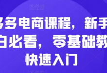 拼多多电商课程，新手纯小白必看，零基础教学快速入门-蜗牛学社