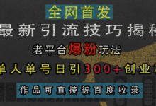 最新引流技巧揭秘，老平台爆粉玩法，单人单号日引300+创业粉，作品可直接被百度收录-蜗牛学社