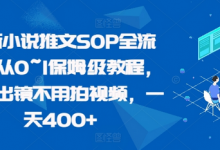 最新小说推文SOP全流程,从0~1保姆级教程,不用出镜不用拍视频,一天400+-蜗牛学社