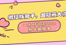 微信版知乎,超隐蔽流量入口1小时引流100人,粉丝质量超高-蜗牛学社