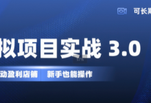 虚拟项目实战3.0,打造自动盈利店铺,可长期操作投入低,新手也能操作-蜗牛学社