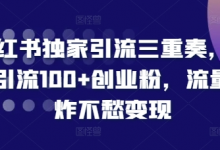 小红书独家引流三重奏,当天引流100+创业粉,流量爆炸不愁变现-蜗牛学社